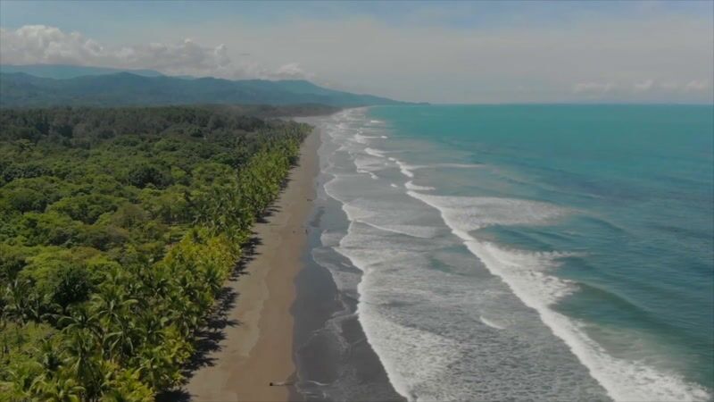 Play video — Kalon Surf Resort